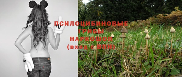 jwh Абаза