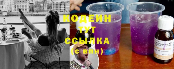 прущие грибы Абинск