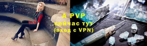 прущие грибы Абинск