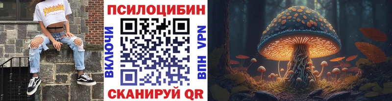 как найти   Фатеж  Галлюциногенные грибы мухоморы 